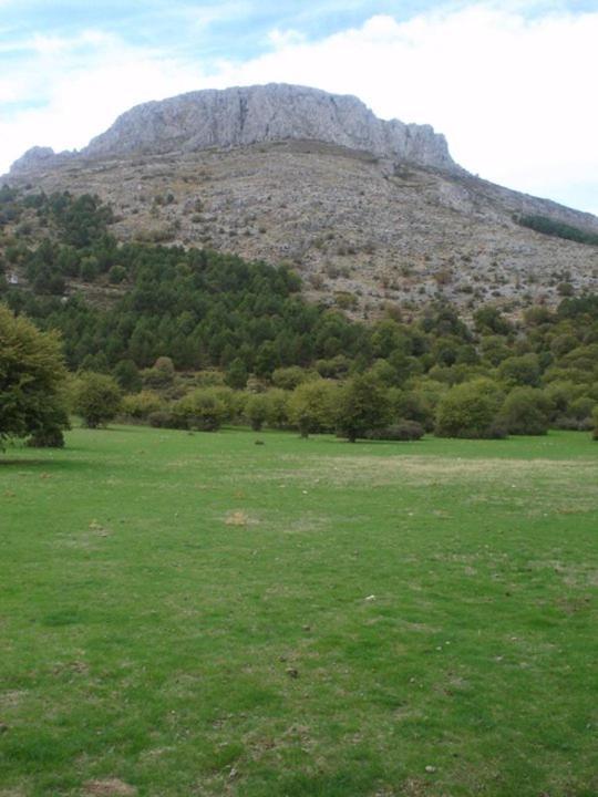 Casa Rural Casa Gonzalo Guest House Belmez de la Moraleda Bagian luar foto